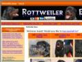 rottweilers dog