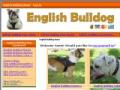 english bulldog harn