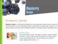 Blueberry design web