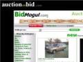 auction - bid