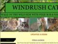 -->windrush cats