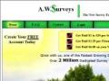 a.w.surveys the new